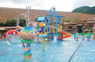 水上樂園設(shè)備造浪設(shè)備廠家人工造浪設(shè)備安裝調(diào)試廠家價(jià)格 水上樂園設(shè)備造浪設(shè)備廠家人工造浪設(shè)備安裝調(diào)試圖片 水上樂園設(shè)備造浪設(shè)備廠家人工造浪設(shè)備安裝調(diào)試批發(fā) 百卓采購(gòu)網(wǎng)