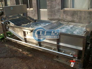 國(guó)泰機(jī)械gt 300蘿卜清洗機(jī)