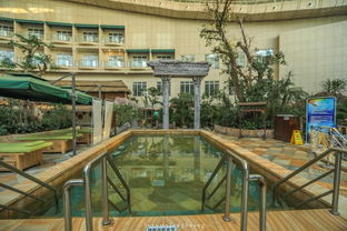 吹著海風(fēng)，泡著溫泉，這個(gè)夏天有點(diǎn)不一樣 人工造浪設(shè)備的奇妙體驗(yàn)